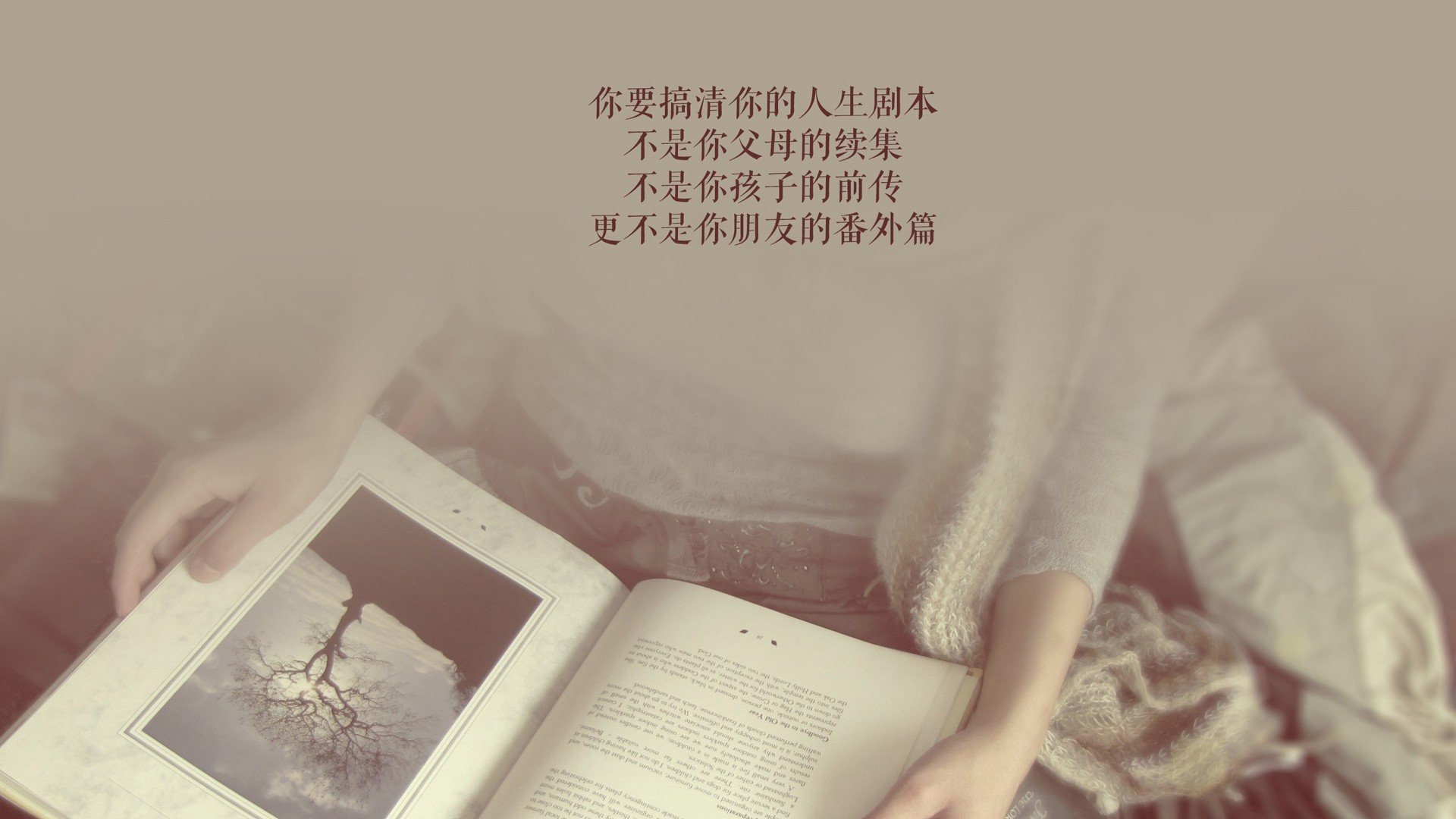 伊朗骑手卡尔·阿里·阿尔达比在巴黎奥运会上首次亮相即夺得障碍赛银牌，表现出色。