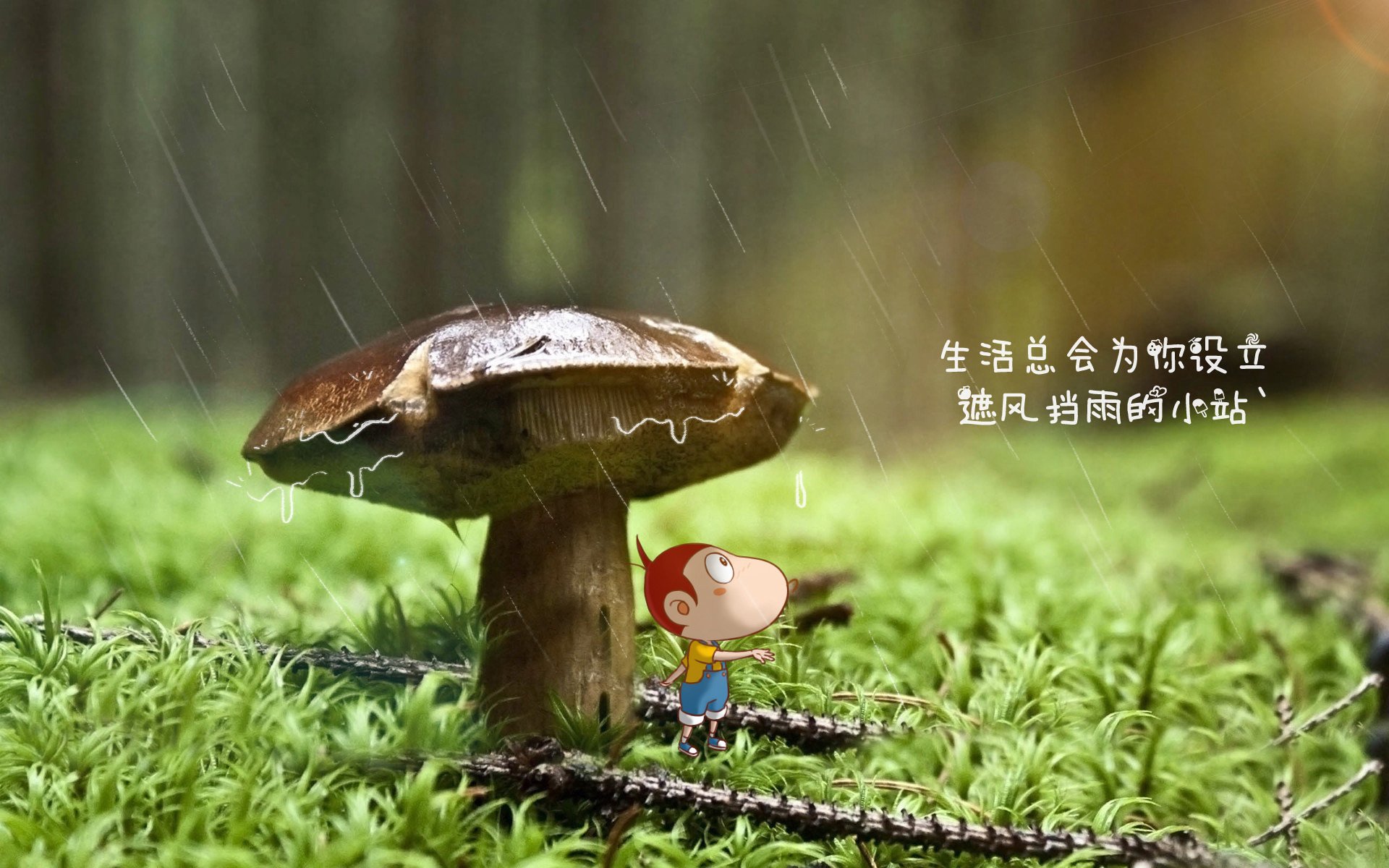 球员“赛场之外”的精彩：慈善、娱乐与商业多面手，足球明星慈善赛