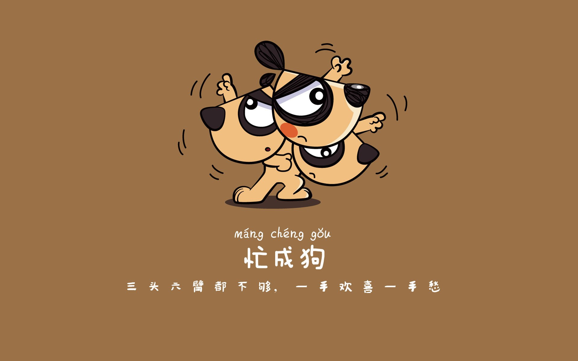 线上普拉提课程兴起，满足不同人群需求，网上普拉提教学视频谁的好