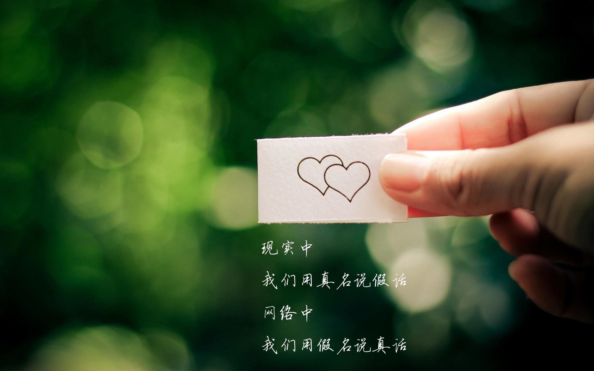 荷兰马术协会与亚洲马术协会建立合作关系，推动区域发展。，荷兰赛马