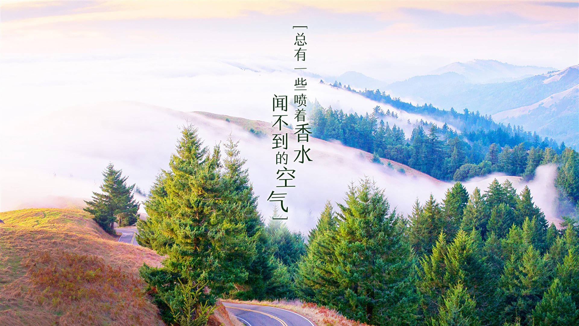 观众体验升级：智能座椅与虚拟观战的完美结合，智能化座椅