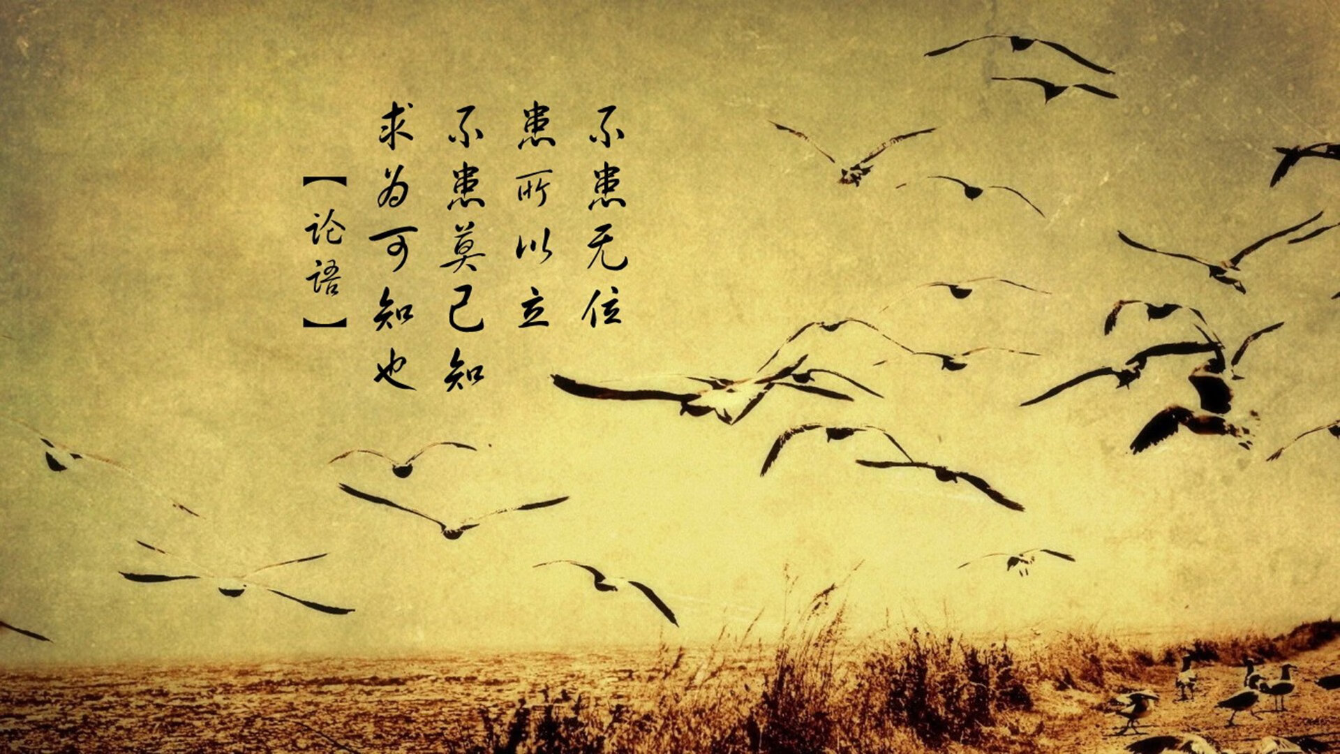 中国青少年篮球均衡发展政策探讨，《中国青少年篮球训练教学大纲》
