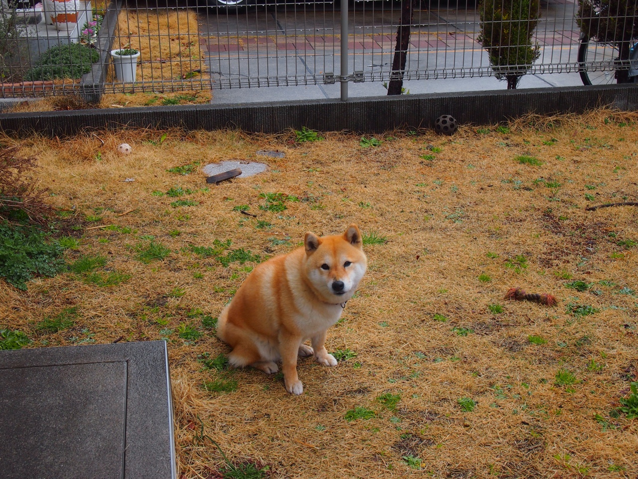 九游下载官网-全国青少年冬季运动会筹备工作全面启动，第十四届全国冬季运动会设置竞赛项目