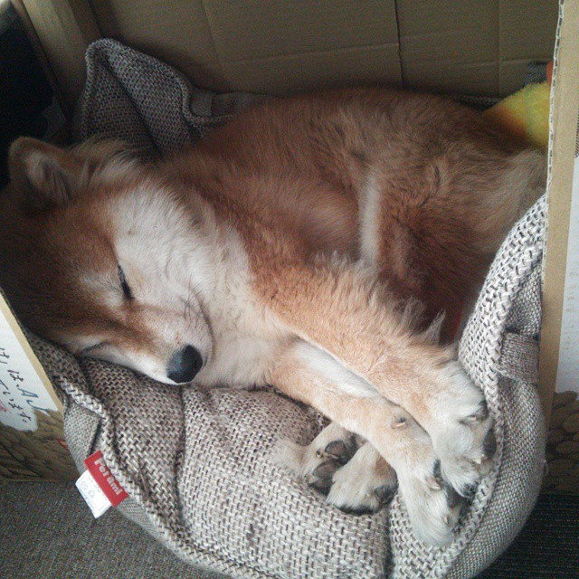 国际热身赛中国青年队惨败 球迷热议换人策略,国家队热身赛