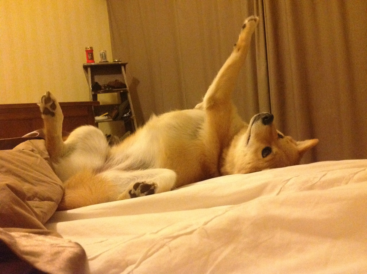 技术趋势分析:中国转身节奏进化快于美国