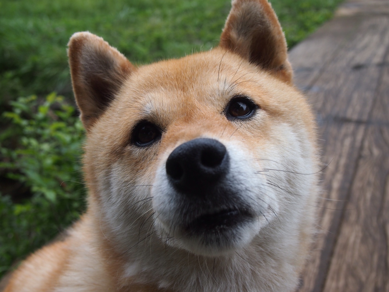 中小学篮球活动纳入城市体育节提升活动层级,中小学篮球现状