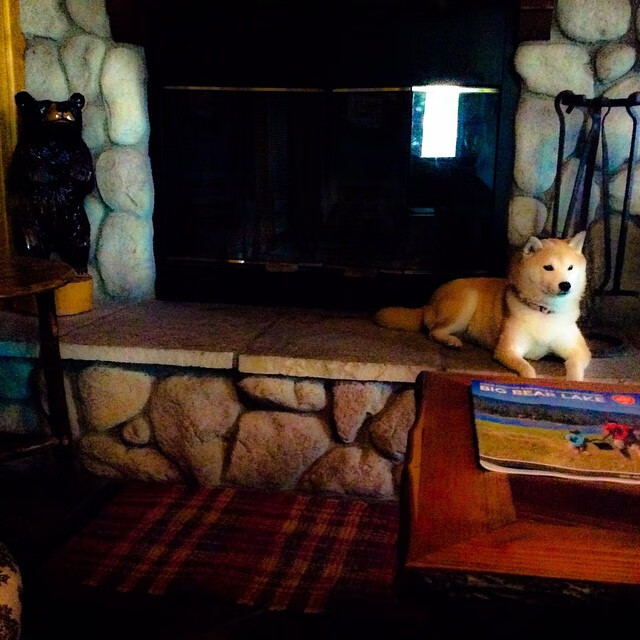 Jiuyou-地方篮球发展基金成立加大对青训和赛事的支持力度，地方篮球协会是干什么的