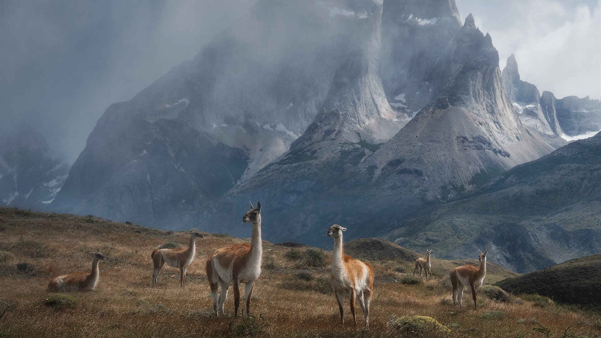 JIU YOU GAME-德国两将同场竞技 梅尔滕斯突出表现，德利斯梅尔滕斯