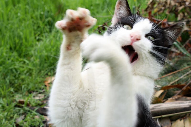 英超冲刺战:悬念逐渐升温!,英超本轮集锦视频