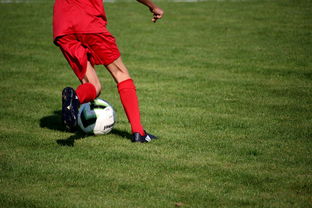 九游官方正版-法甲营养恢复系统提升球员赛季稳定性调查