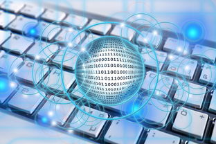 9游app-篮球专项技能教学创新实践及效果评估，篮球教学实施报告 教学能力比赛